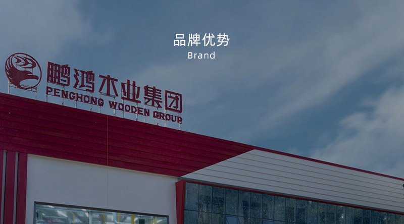 板材品牌、全屋定制品牌、生态板十大品牌