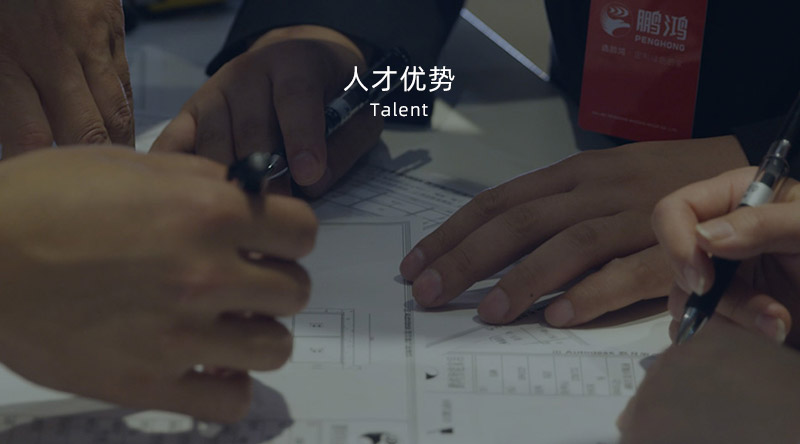  人才优势